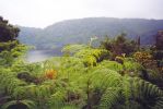 Bosque de Helechos con el lago Biao al fondo R.jpg