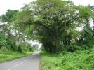 Carretera de luba 2006.jpg